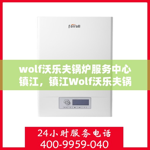 wolf沃乐夫锅炉服务中心镇江，镇江Wolf沃乐夫锅炉专业服务中心，高效维修与保养的信赖之选