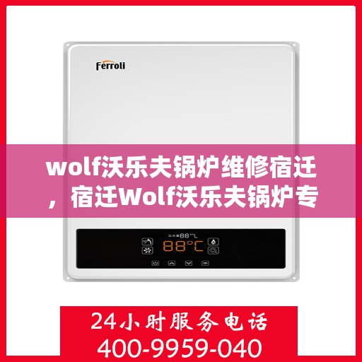 wolf沃乐夫锅炉维修宿迁，宿迁Wolf沃乐夫锅炉专业维修服务