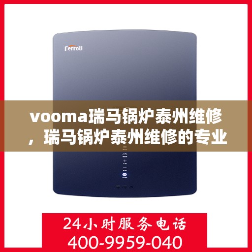vooma瑞马锅炉泰州维修，瑞马锅炉泰州维修的专业服务团队