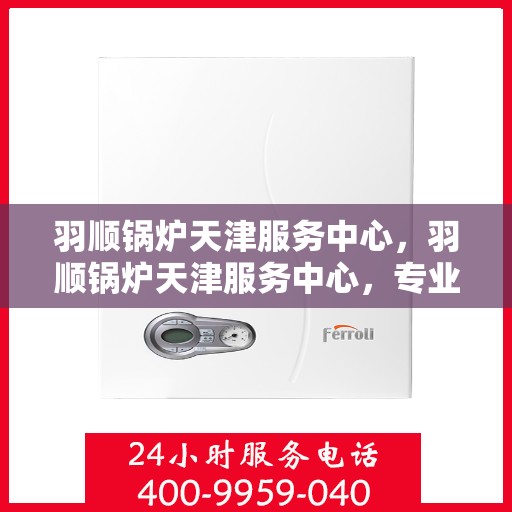 羽顺锅炉天津服务中心，羽顺锅炉天津服务中心，专业维护与优质服务，为您的设备保驾护航