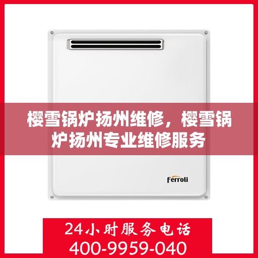 樱雪锅炉扬州维修，樱雪锅炉扬州专业维修服务