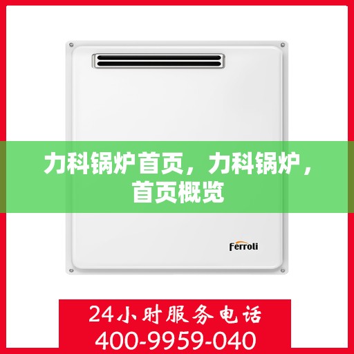 力科锅炉首页，力科锅炉，首页概览