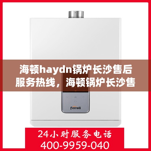 海顿haydn锅炉长沙售后服务热线，海顿锅炉长沙售后服务热线，专业团队为您提供全方位支持