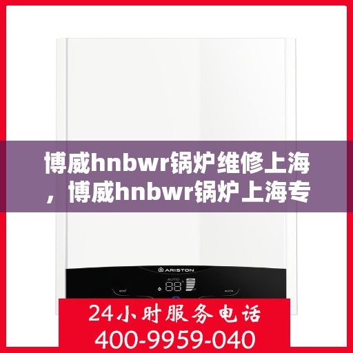 博威hnbwr锅炉维修上海，博威hnbwr锅炉上海专业维修团队