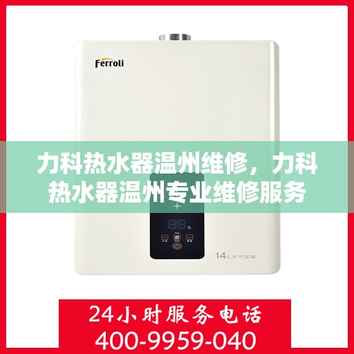 力科热水器温州维修，力科热水器温州专业维修服务