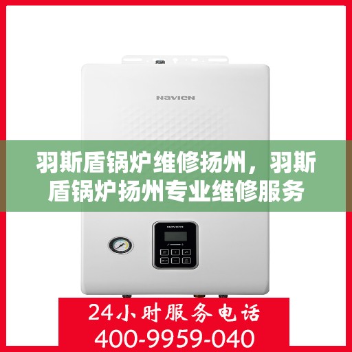 羽斯盾锅炉维修扬州，羽斯盾锅炉扬州专业维修服务
