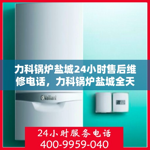 力科锅炉盐城24小时售后维修电话，力科锅炉盐城全天候售后维修服务热线
