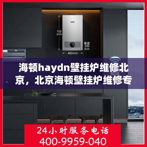 海顿haydn壁挂炉维修北京，北京海顿壁挂炉维修专家解析与解决方案