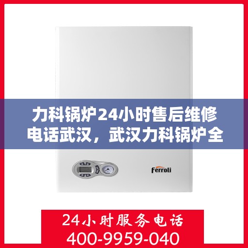 力科锅炉24小时售后维修电话武汉，武汉力科锅炉全天候售后维修服务热线