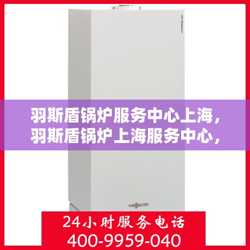 羽斯盾锅炉服务中心上海，羽斯盾锅炉上海服务中心，专业品质，服务升级