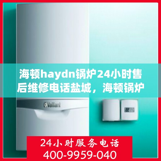 海顿haydn锅炉24小时售后维修电话盐城，海顿锅炉盐城售后维修热线，全天候服务保障，专业解决您的锅炉故障问题