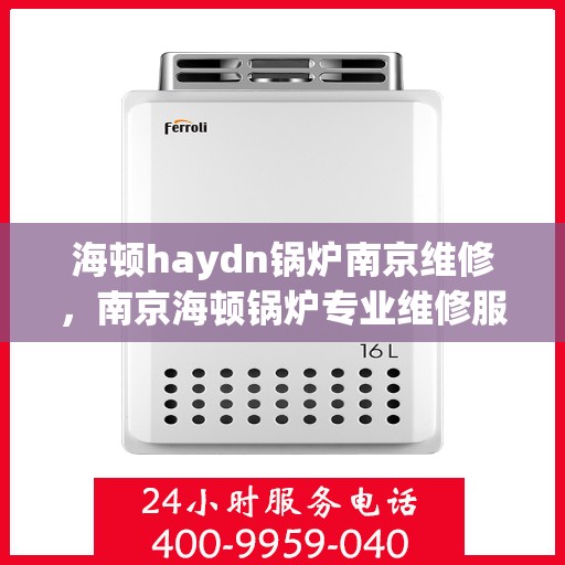 海顿haydn锅炉南京维修，南京海顿锅炉专业维修服务团队
