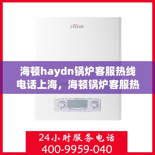 海顿haydn锅炉客服热线电话上海，海顿锅炉客服热线电话在上海，专业支持与解决方案一站式服务