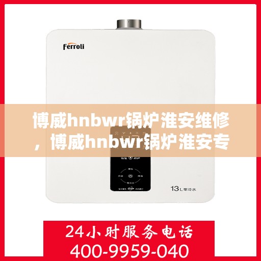 博威hnbwr锅炉淮安维修，博威hnbwr锅炉淮安专业维修服务