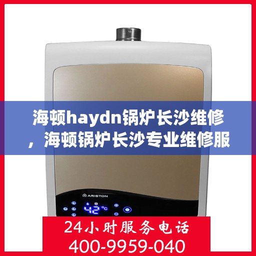 海顿haydn锅炉长沙维修，海顿锅炉长沙专业维修服务