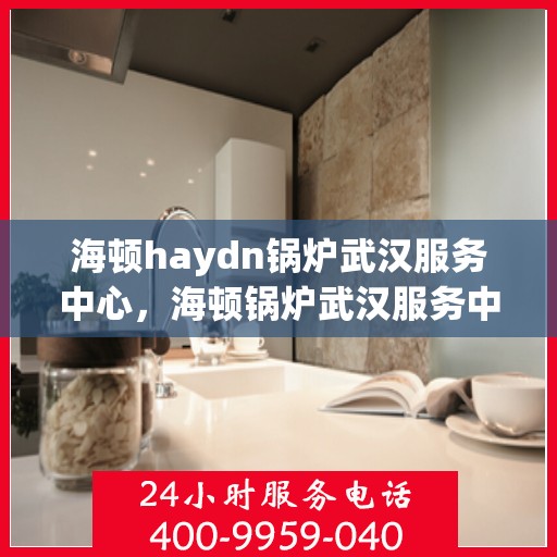 海顿haydn锅炉武汉服务中心，海顿锅炉武汉服务中心，专业维修与优质服务并行