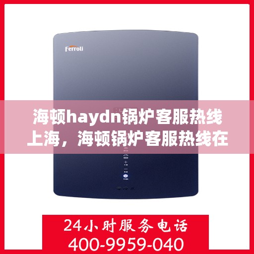 海顿haydn锅炉客服热线上海，海顿锅炉客服热线在上海，专业支持与解决方案一站式服务