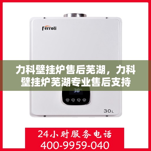 力科壁挂炉售后芜湖，力科壁挂炉芜湖专业售后支持