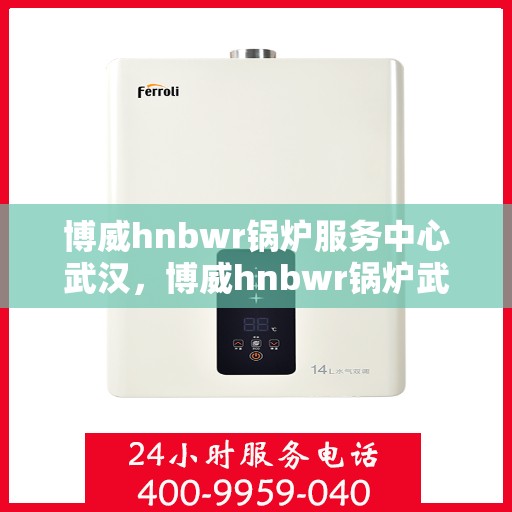 博威hnbwr锅炉服务中心武汉，博威hnbwr锅炉武汉服务中心，专业维护，高效运行