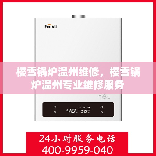 樱雪锅炉温州维修，樱雪锅炉温州专业维修服务