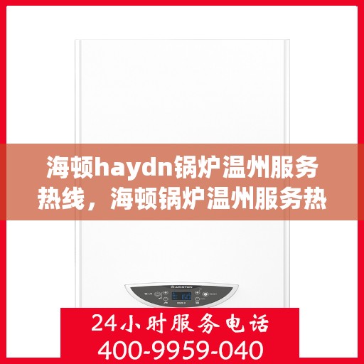 海顿haydn锅炉温州服务热线，海顿锅炉温州服务热线，专业团队为您提供全方位解决方案