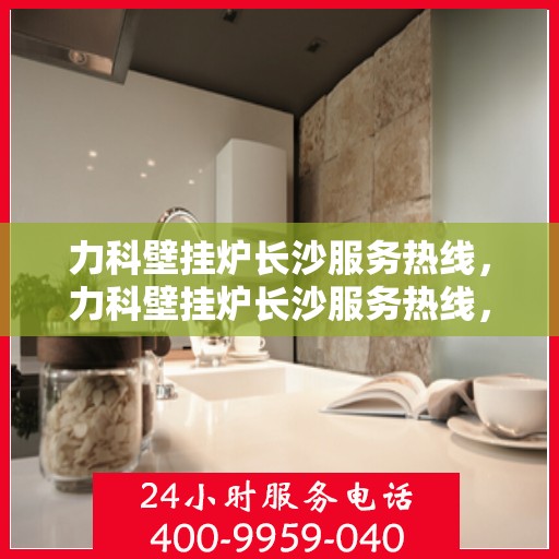 力科壁挂炉长沙服务热线，力科壁挂炉长沙服务热线，专业团队，贴心服务