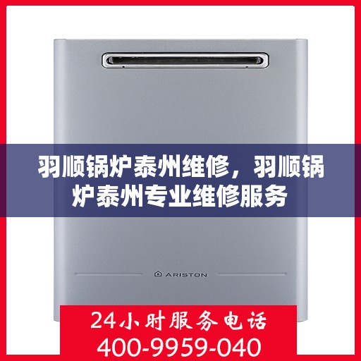 羽顺锅炉泰州维修，羽顺锅炉泰州专业维修服务
