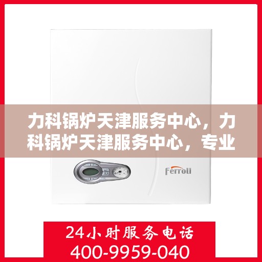 力科锅炉天津服务中心，力科锅炉天津服务中心，专业维修与优质服务的完美结合