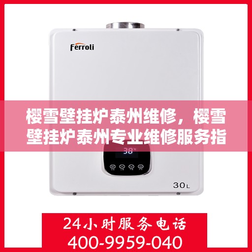 樱雪壁挂炉泰州维修，樱雪壁挂炉泰州专业维修服务指南