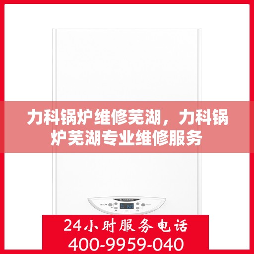 力科锅炉维修芜湖，力科锅炉芜湖专业维修服务