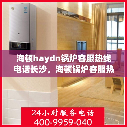 海顿haydn锅炉客服热线电话长沙，海顿锅炉客服热线在长沙，专业支持与解决方案一站式服务