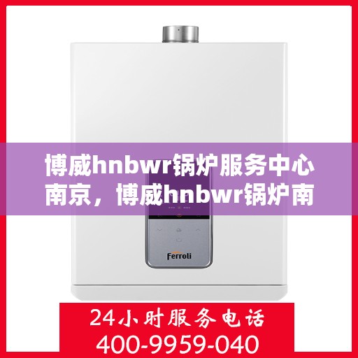 博威hnbwr锅炉服务中心南京，博威hnbwr锅炉南京服务中心，专业维护，无忧运行