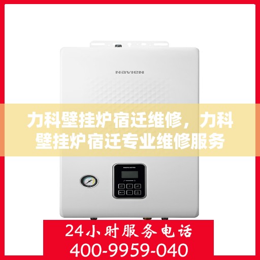 力科壁挂炉宿迁维修，力科壁挂炉宿迁专业维修服务