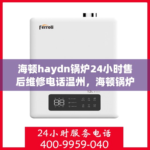 海顿haydn锅炉24小时售后维修电话温州，海顿锅炉温州售后维修热线，全天候服务保障，专业解决您的锅炉问题