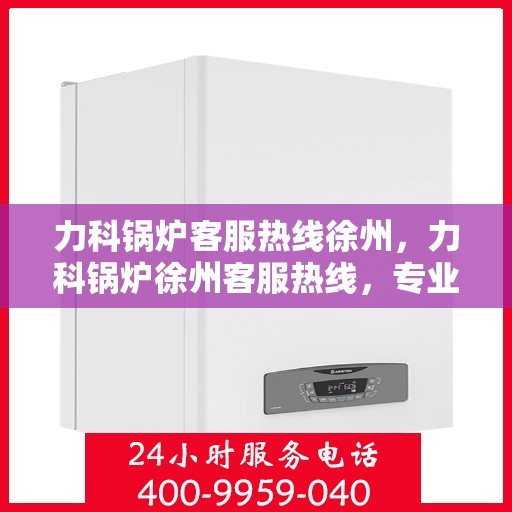 力科锅炉客服热线徐州，力科锅炉徐州客服热线，专业解答，温暖服务