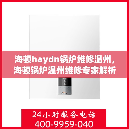 海顿haydn锅炉维修温州，海顿锅炉温州维修专家解析与实战指南