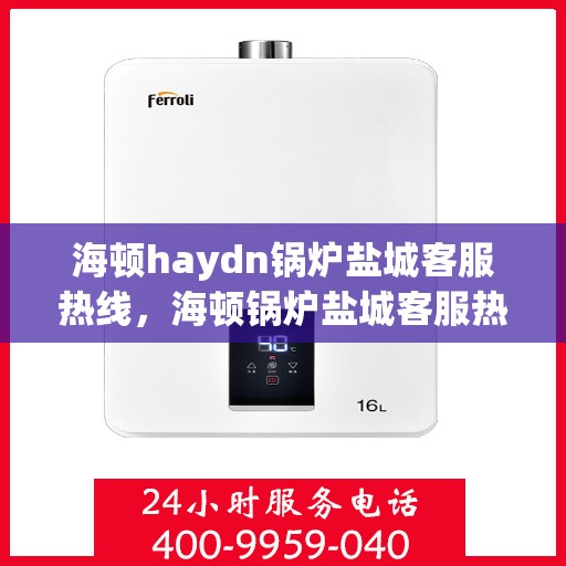 海顿haydn锅炉盐城客服热线，海顿锅炉盐城客服热线，专业支持与解决方案一站式服务