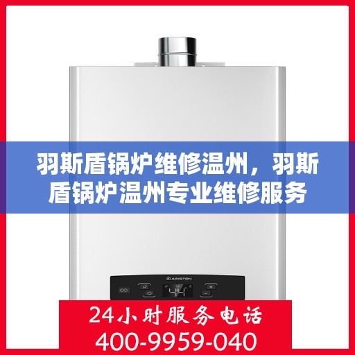 羽斯盾锅炉维修温州，羽斯盾锅炉温州专业维修服务