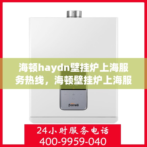 海顿haydn壁挂炉上海服务热线，海顿壁挂炉上海服务热线，专业售后，温暖您的生活