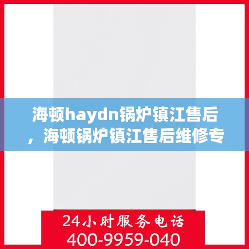 海顿haydn锅炉镇江售后，海顿锅炉镇江售后维修专业服务