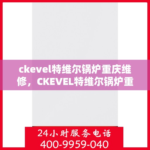 ckevel特维尔锅炉重庆维修，CKEVEL特维尔锅炉重庆专业维修服务