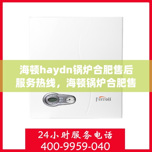 海顿haydn锅炉合肥售后服务热线，海顿锅炉合肥售后服务热线，专业团队，贴心服务