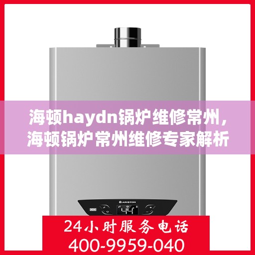 海顿haydn锅炉维修常州，海顿锅炉常州维修专家解析与实战指南