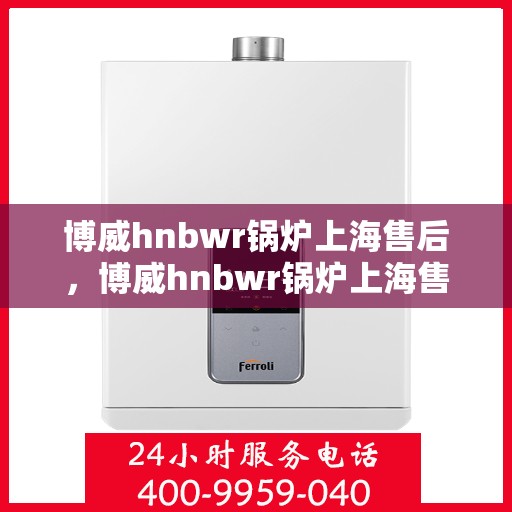 博威hnbwr锅炉上海售后，博威hnbwr锅炉上海售后服务中心，专业维修与保养服务