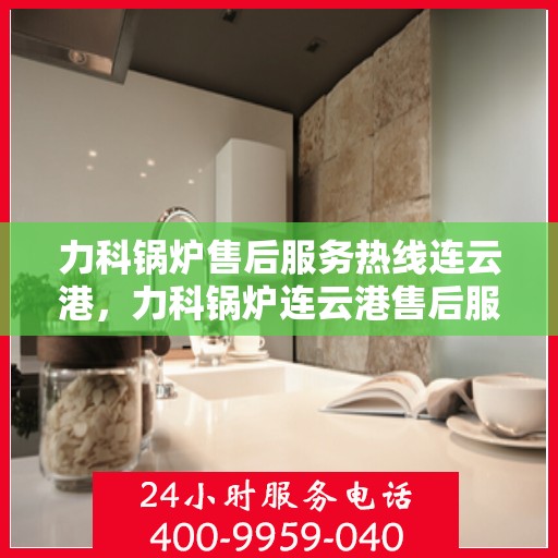 力科锅炉售后服务热线连云港，力科锅炉连云港售后服务热线，专业团队为您提供全方位服务保障