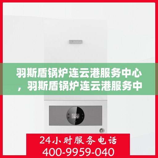 羽斯盾锅炉连云港服务中心，羽斯盾锅炉连云港服务中心，专业维护，无忧服务