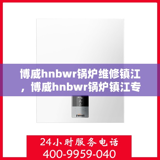 博威hnbwr锅炉维修镇江，博威hnbwr锅炉镇江专业维修服务