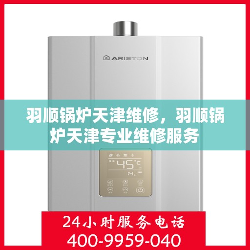 羽顺锅炉天津维修，羽顺锅炉天津专业维修服务