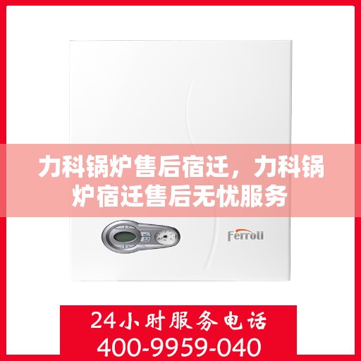 力科锅炉售后宿迁，力科锅炉宿迁售后无忧服务