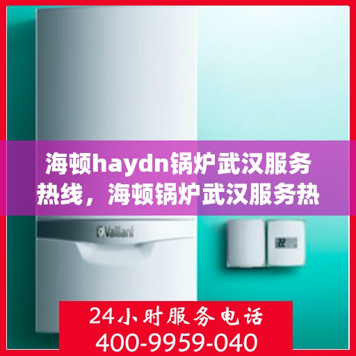 海顿haydn锅炉武汉服务热线，海顿锅炉武汉服务热线，专业维修与支持团队为您解答疑问